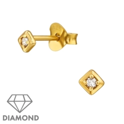 ES-JB19958-0.5GP/49877