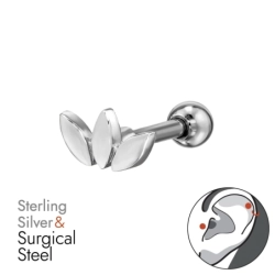 BJ1.2-JB20011-PF77A-6/49647