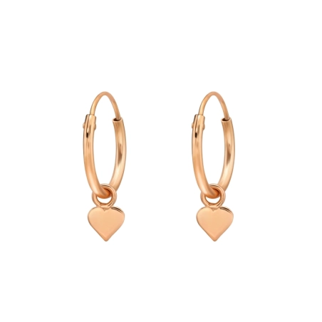 CR1.2X12-HP-APS1600-FL RGP/47022