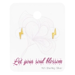 C10-ES-APS1900-FLAT-GP/45485