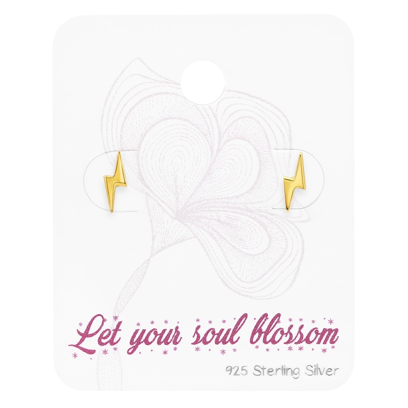 C10-ES-APS1900-FLAT-GP/45485