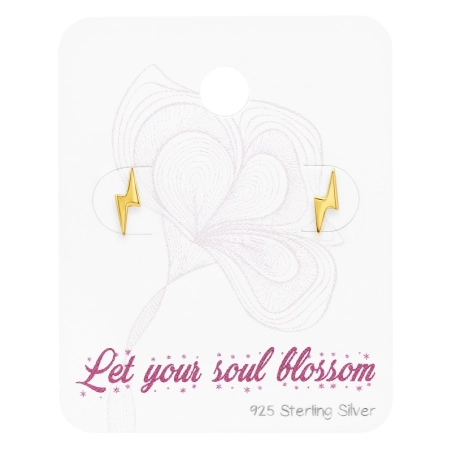 C10-ES-APS1900-FLAT-GP/45485