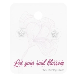 C10-ES-APS1641/45481