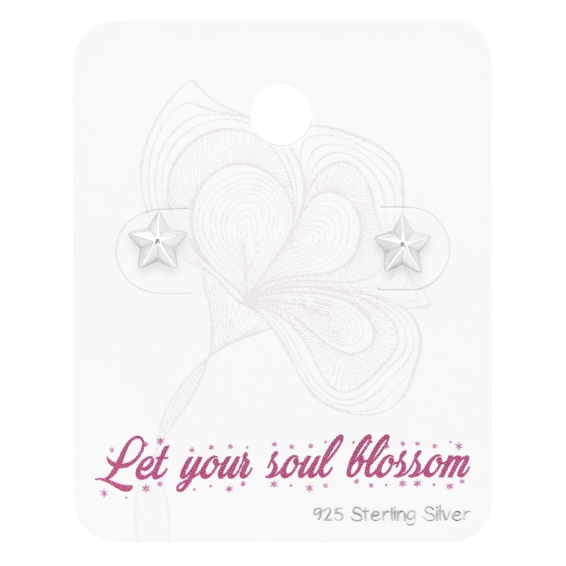 C10-ES-APS1641/45481