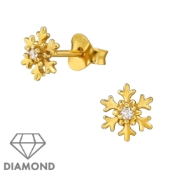 ES-JB15424-0.5GP/49873