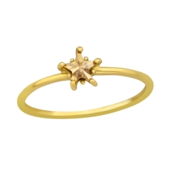 RG-JB11558-GP-SWR CGS/42602