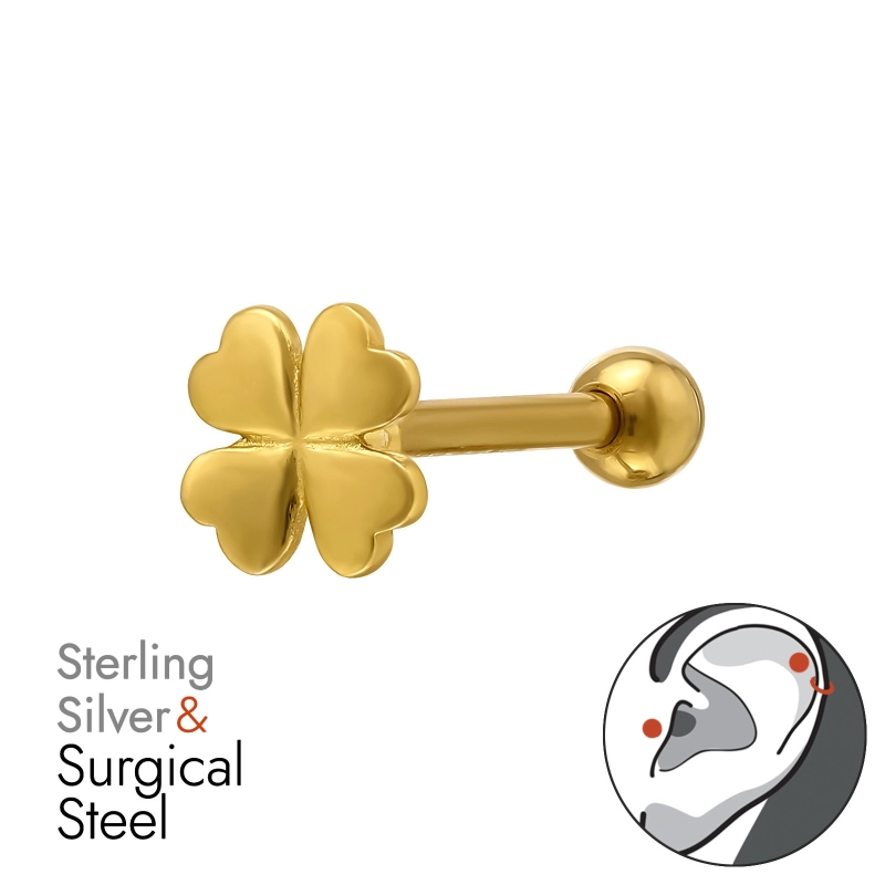 BJ1.2-JB19438-GP-PF77A-8-IPG/50451