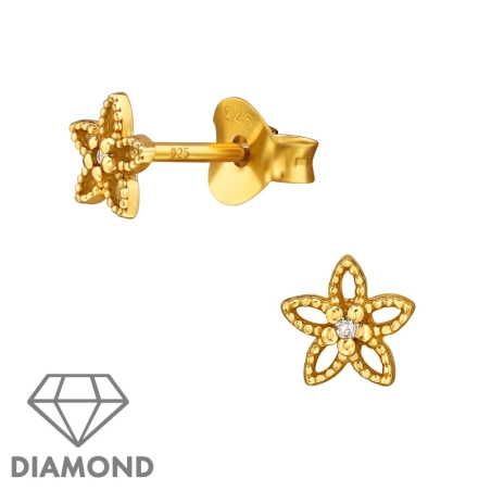 ES-JB18990-0.5GP/49861