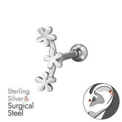 BJ1.2-JB19154-PF77A-6/49645