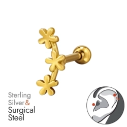 BJ1.2-JB19154-GP-PF77A-6-IPG/49646