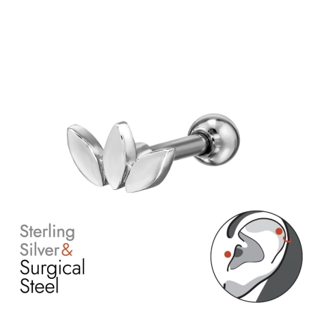 BJ1.2-JB20011-PF77A-6/49647