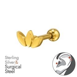 BJ1.2-JB20011-GP-PF77A-6-IPG/49648