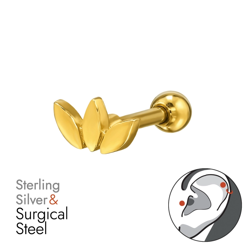 BJ1.2-JB20011-GP-PF77A-6-IPG/49648