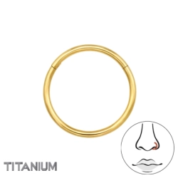 TMT-09-12-GD/47794