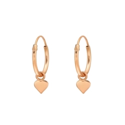 CR1.2X12-HP-APS1600-FL RGP/47022