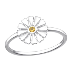 RG-JB16463-MCT/43856